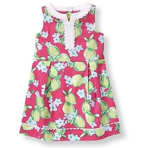 Janie and Jack South Beach Beauty Lime Citrus Floral Dress Size 4 Pink/Green